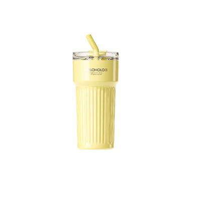 HOLOHOLO 700ml Insulated Stainless Steel Straw Water Bottle