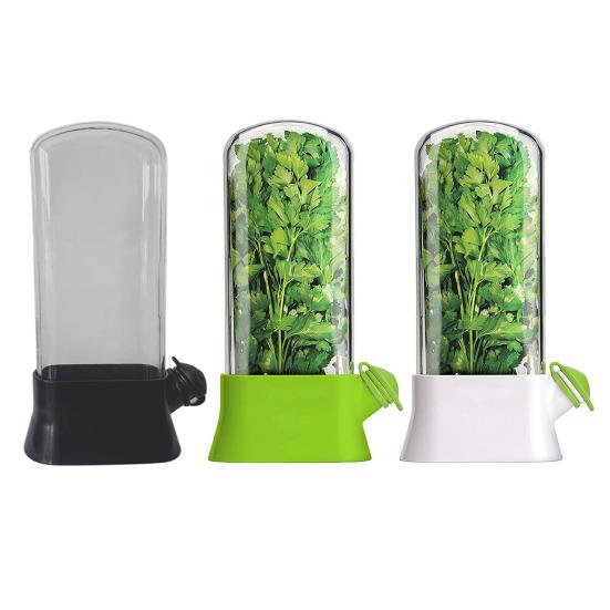 Refrigerator Herb Storage Box Upright Cilantro Storage Container Parsley Preservation Box Keeps