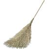 KUIDUN Cleaning & Road Sweeping Brooms