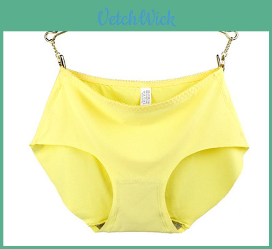 Women's Sexy Seamless Soft Lingerie Briefs Underwear Panties Underpants With Premium Quality Fabric