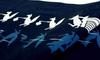 Dyeing Anbo Tenugui Authentic Dyed Cotton Tokuoka Made In Japan 35cm X 100cm "Fox Wedding" 100%