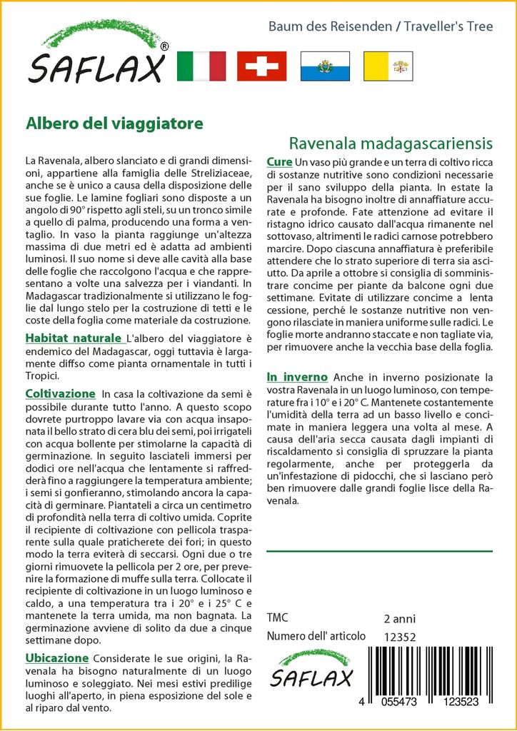 SAFLAX Gift Set - Traveller's Tree - 8 Seeds - With Gift Box, Card, Label and Potting Substrate - Ravenala Madagascariensis