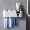 Danle Wall-Mounted Smart UV Toothbrush Holder