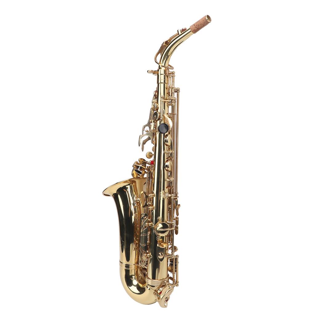 Eb Alto Saxophone Kit Golden Brass Engraving Curved Neck Saxophone Wind Instrument for All Players