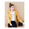 Veste épaisse en velours Automne Hiver Femme Printemps Automne Nouvelle Uniforme de Baseball à Capuche Casual Tempérament Exquis Coréenne