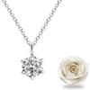 Sears Diamond Platinum White Preserved Flower with Single CZ Necklace Rose, (p5412-1218-01)
