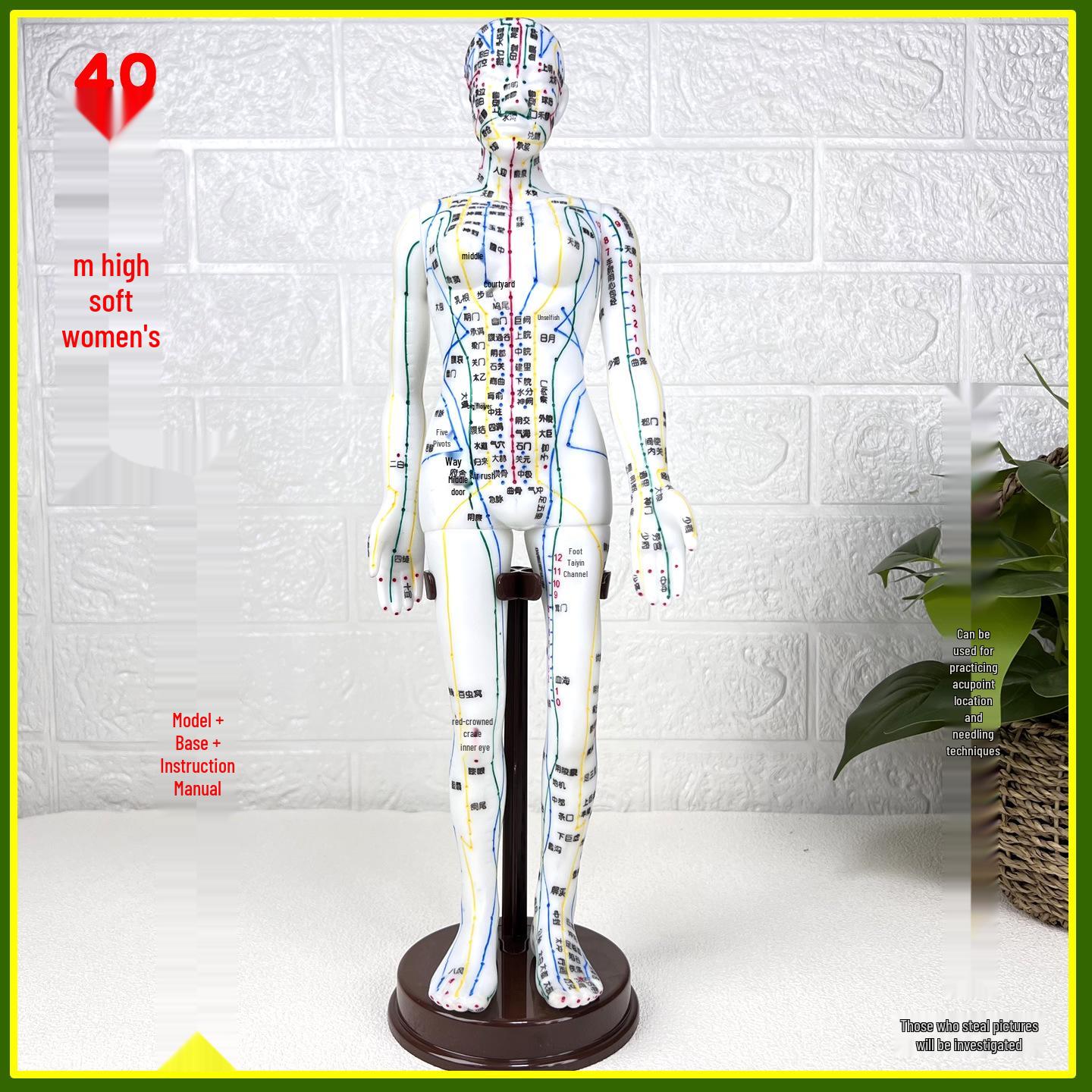 Full Body Acupuncture Points and Meridians