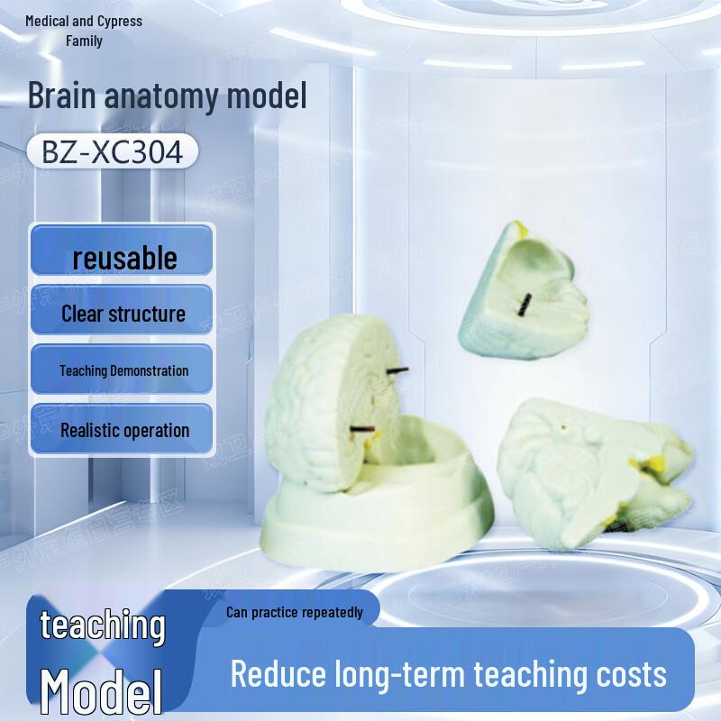 Medical Anatomy Simulation Models