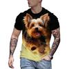 3D Puppy Pattern Printed Short Sleeved Summer Breathable Round Neck Top Men's T-shirts