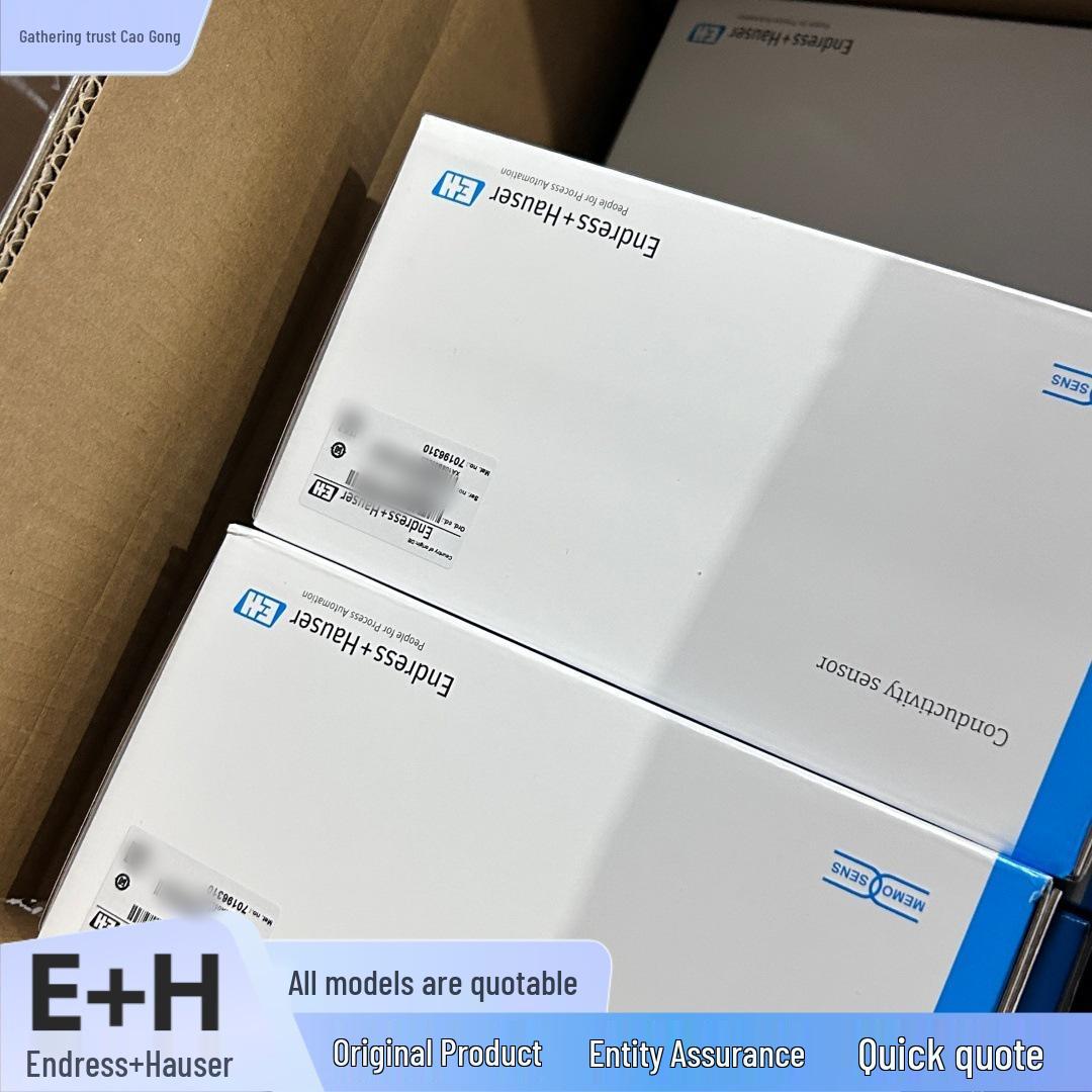 

FTC262-AA64D1 E+H Endress+Hauser Capacitive Limit Switch Available