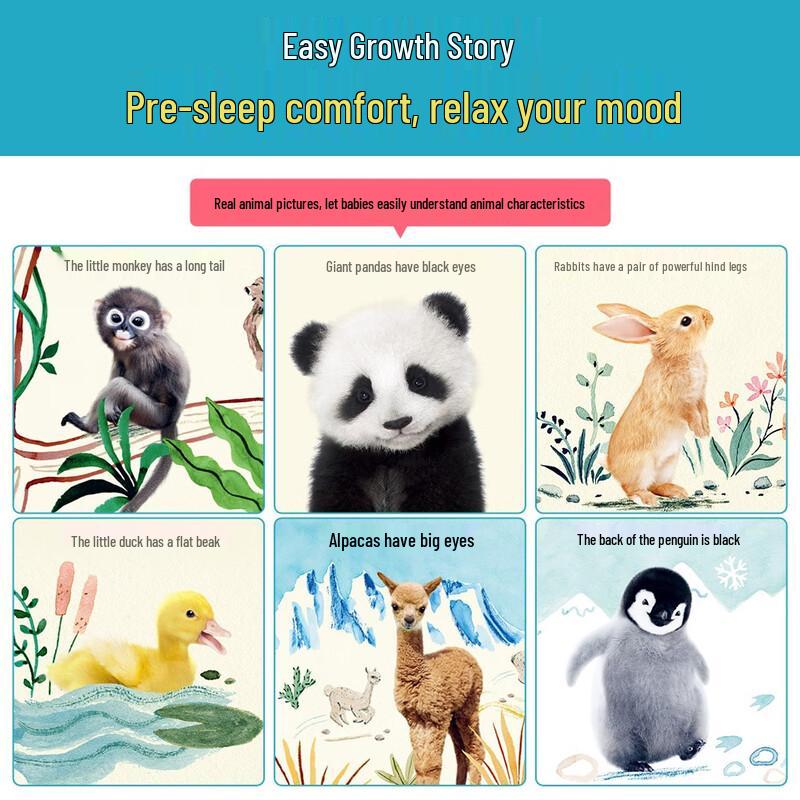 Goodnight Stories Picture Book Collection