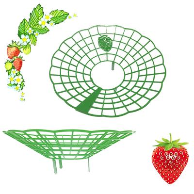 Strawberry Supports Keeping Plant Fruit Stand Vegetable Growing Rack Garden Tools for Protecting Vines Avoid Ground Gardening