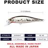Lucky Craft Pointer 65 US Standard Farbe Freeze Angelköder Minnow Köderfisch - (Rindfleisch 65SP) (834 Silber)