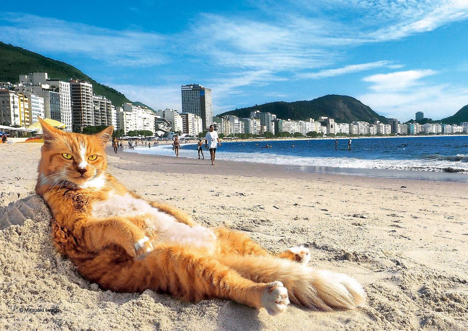 

108 Piece Jigsaw Puzzle Mitsuaki Iwago King of the Beach (18.2x25.7cm)