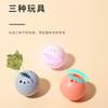 New Cat Toy Combination Catnip Glitter Bell Ball Cat Self-hi Ball Scratch and Bite Pet Ball Pet Products