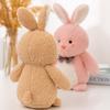 Cute Cartoon Rabbit Doll Wish Rabbit Plush Toy Japanese Cloth Claw Machine Gift Wedding Throw Sprinkler