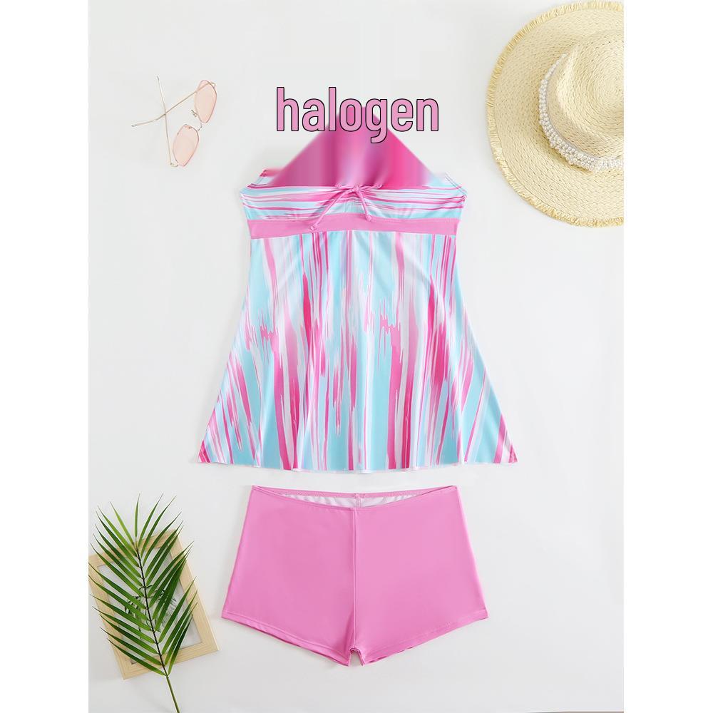 European-American Printed Spring Bikini 2025: Conservative Skirt-Style Women's Swimsuit.