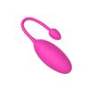 Vibrator for Women APP Wireless Bluetooth G-Spot Vaginal Stimulator Anal Vibrating Egg Massager Wearable Stimulator Sex Toys
