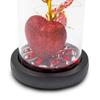 Gift eternal rose in glass shining for her girlfriend wife romantic