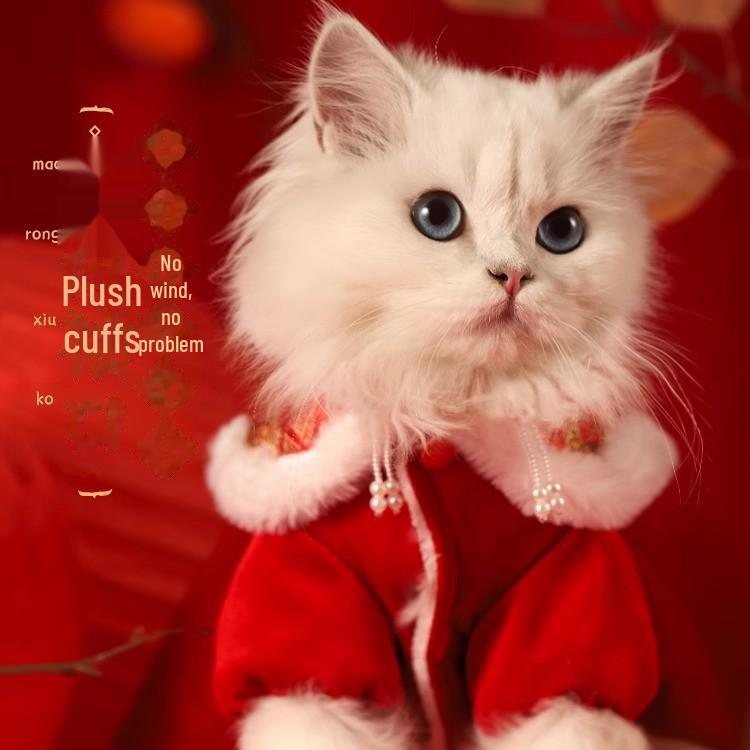 Festive Winter Cat & Dog Outfit: Warm Kitten Skirt for Autumn & New Year
