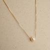 S925 Gold-plated Classic Single Natural Freshwater Pearl Necklace Simple Niche Clavicle Chain Adjustable Versatile Gift