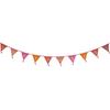 Colorful Birthday Tassel Bunting Flags for Kids' Party or Tent