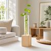 Home Decoration Glass Tube Vase Minimalist Flower Holder Hydroponic Flower Vase  Indoor Planting