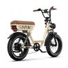 ONESPORT W77 Electric Bike - 48V 250W Motor, 90km Range, 20"x4.0" Tires, Hydraulic Brakes, Bluetooth Support for Urban Commute