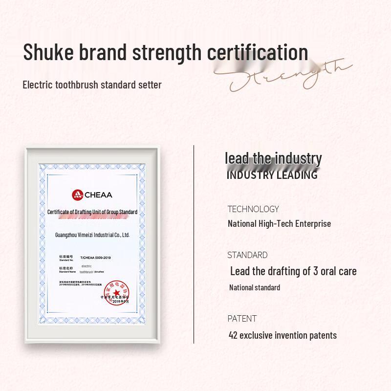 Saky Pro N1 Sonic Electric Toothbrush