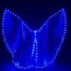2Pcs LED Light Praise Dance Flags Praise Banners Semicircle Worship Wing Flags Worship Flags for Church Dance Banners