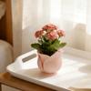 Cute Mini Rose Shape Pots Plastic Green Onion Pots Succulent Plant Basin  Indoor Plants