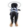 Yousheng Blind Dog Safe Halos Multifunctional Head Protection Circle Adjustable Pet Anti-Collision Collar Halos Pet Supplies
