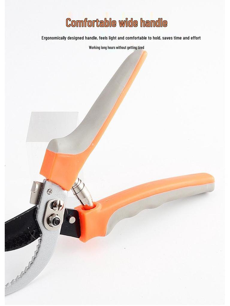 Garden Pruning Shears - Ideal for Flowers, Trees, Grass, and Hedges