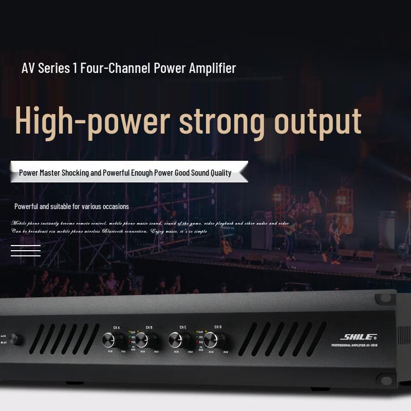 SHILE Professional 150W Conference Audio System