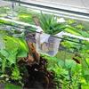12Pcs Plastic Hanging Water Plant Cup Grass Plant Holder For Various Water Plant FishTanks Landscape Accessories