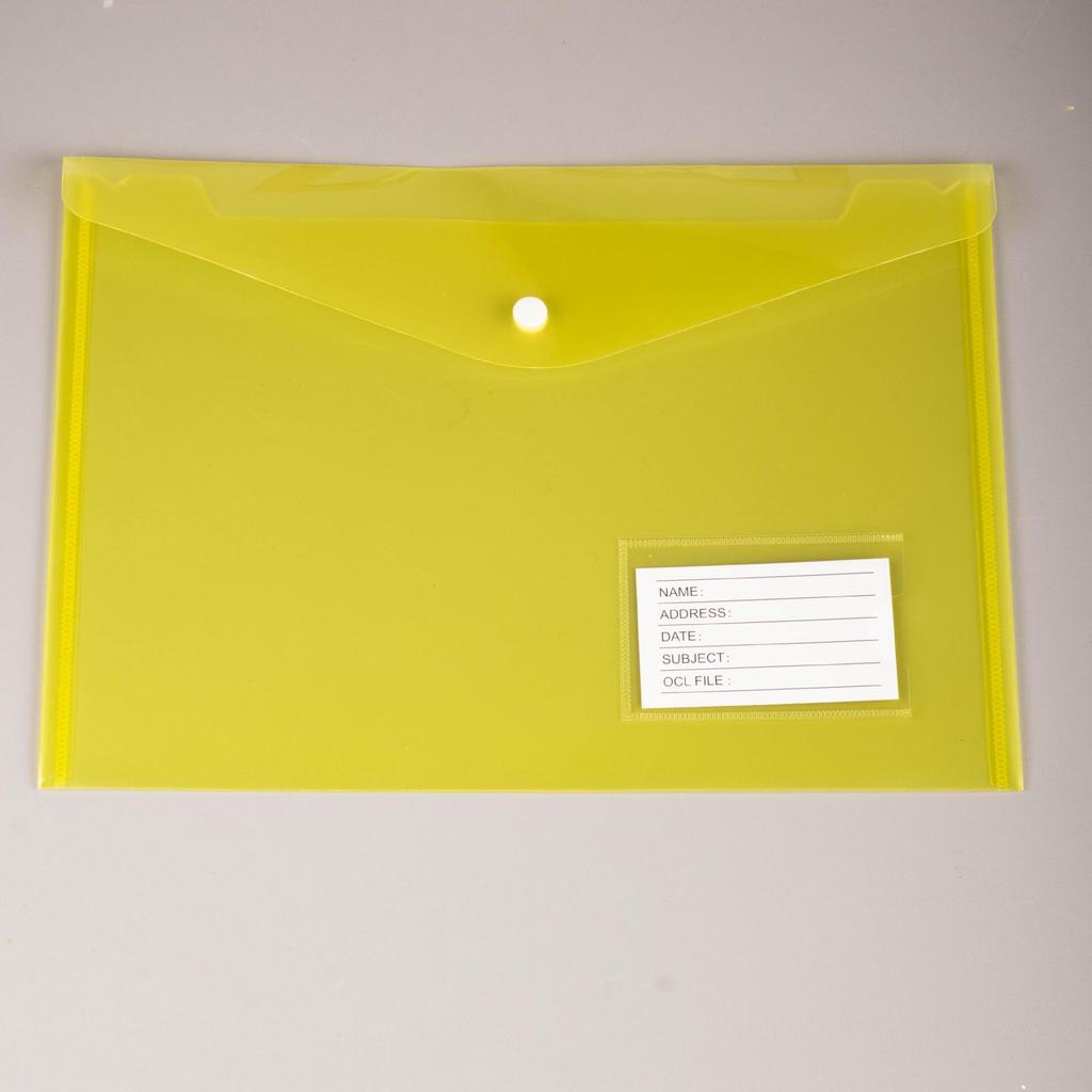 Custom Transparent File Bags with Cartoon Design and Snap Button Closure - A4 & A5 Sizes