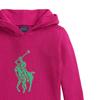 Polo Ralph Lauren Cotton Hooded Knit Sweater Kids sweaters 313978880-001