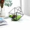 Eternal Flower Geometric Glass Terrarium Gift Box