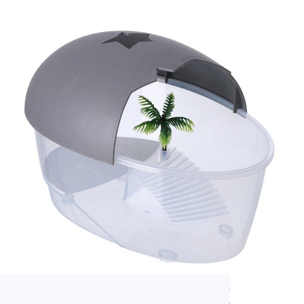 With Cover Turtle Hydroponic Box Recyclable Egg-shape Container Box  Terrarium Habitat