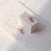 Dieuamour 14K Gf Jour One-Touch Ring Earrings