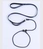 Dog Leash Traction Rope for Small to Medium Breeds