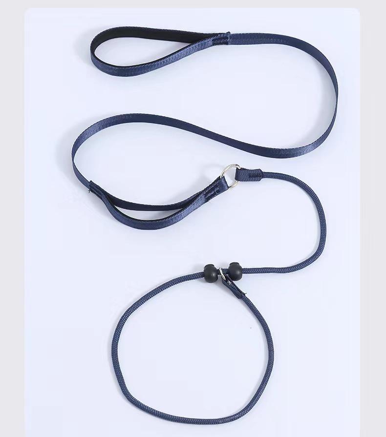 Dog Leash Traction Rope for Small to Medium Breeds
