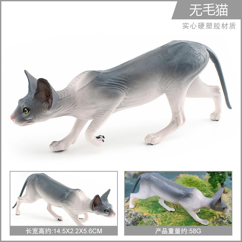 

Stunning Plastic Hairless Cat Model For Kids Exploration And Creative Learning Hairless Cat 58g
