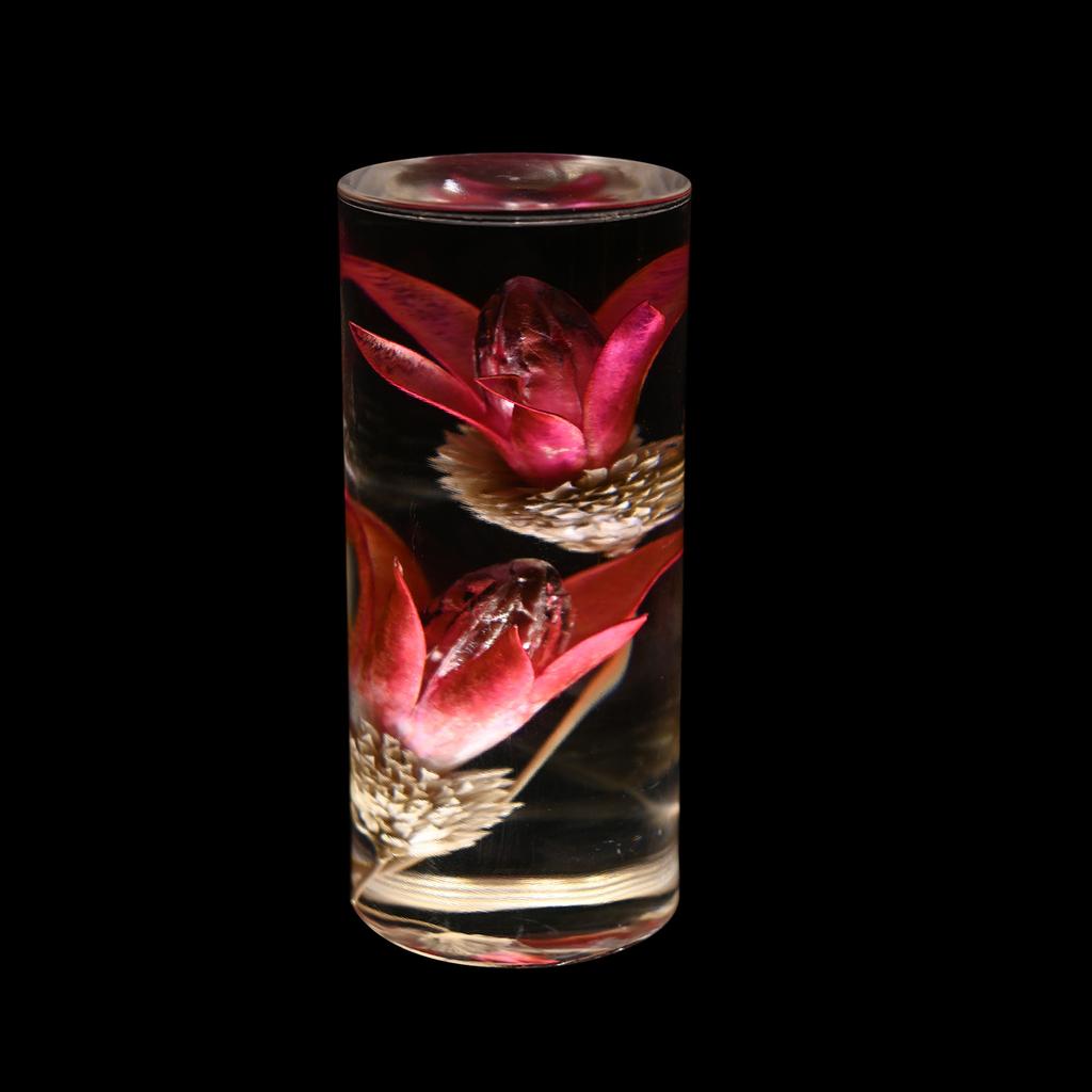 Aeon Flower Acrylic Table Lamp Bedroom Bedside Lamp Ambience Decorative Ornament Touch Switch + USB