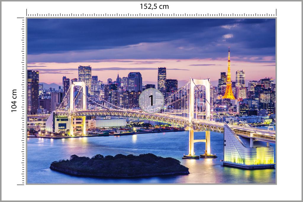 Photomural Rainbow Bridge In Tokyo Non-Woven 152.5x104