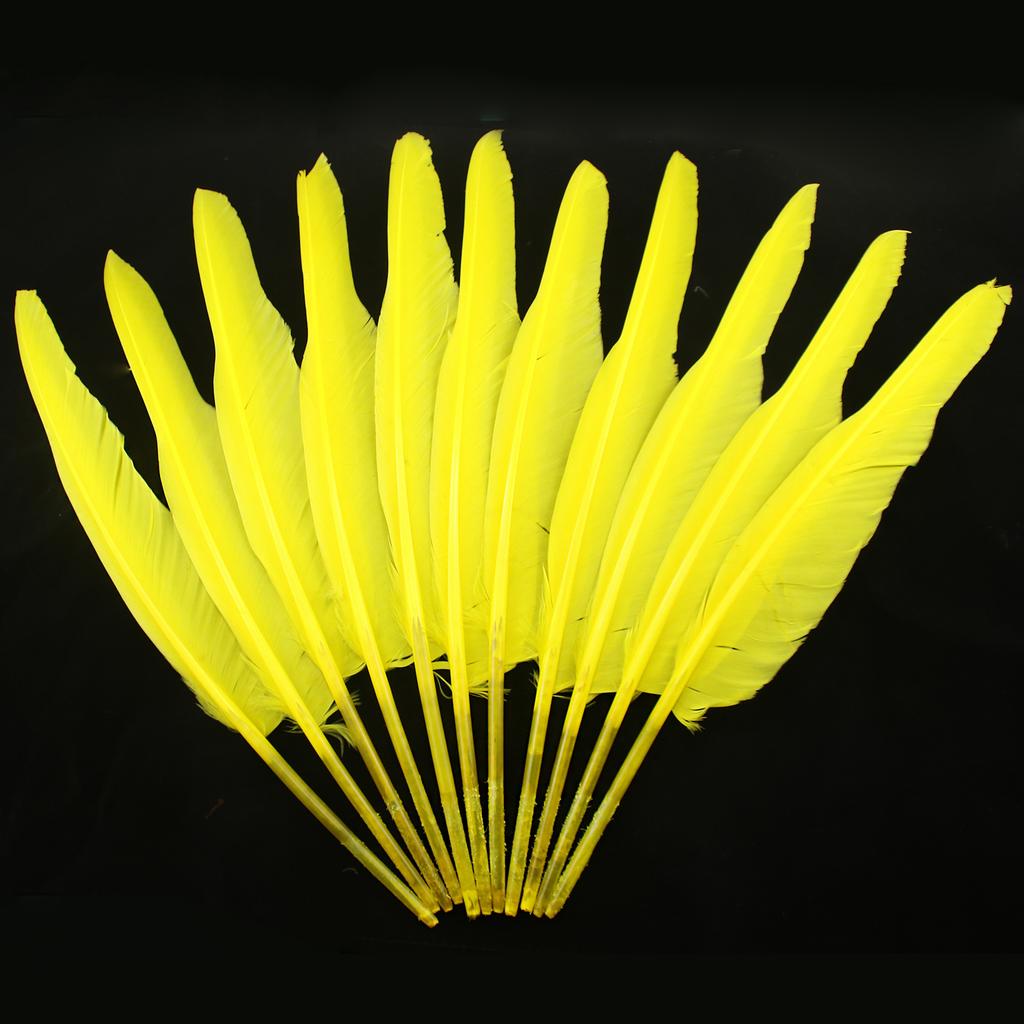 FeatherYellow Feathers for Crafts, 31 Styles Natural Pheasant, Rooster, Duck Feathers Bulk for Costume DIY, Fly Tying,Party Decoration