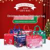 Christmas Style Laminated Non-Woven Gift Bag for Clothing & Shopping