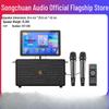SV7-206 Outdoor Portable Karaoke Speaker System (CN Version)