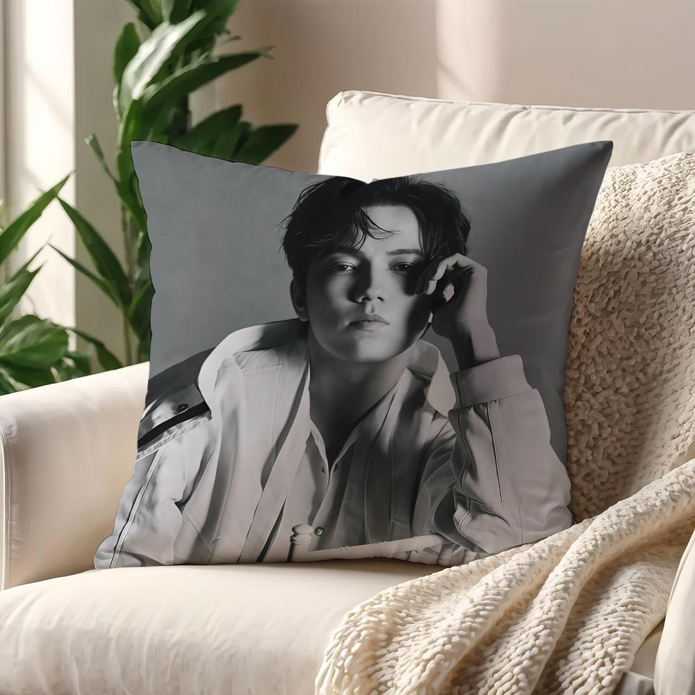 Singer DDimash KKudaibergens cushion cover For Pillow Printing Sofa Decoration Home Car Room Coffee Office Nordic Simplicity