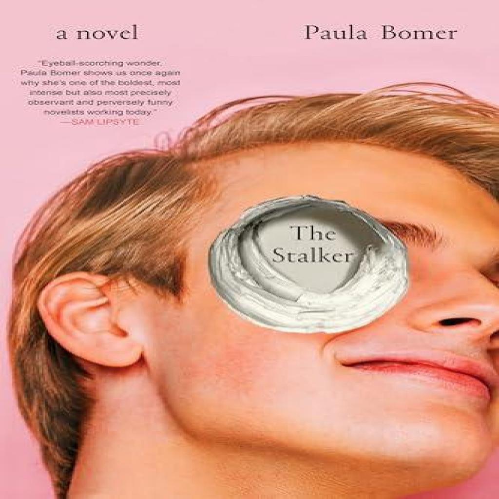 The Stalker by Paula Bomer Hardback Book 9781641296267